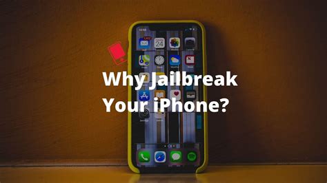 What does jailbreaking a DS do?