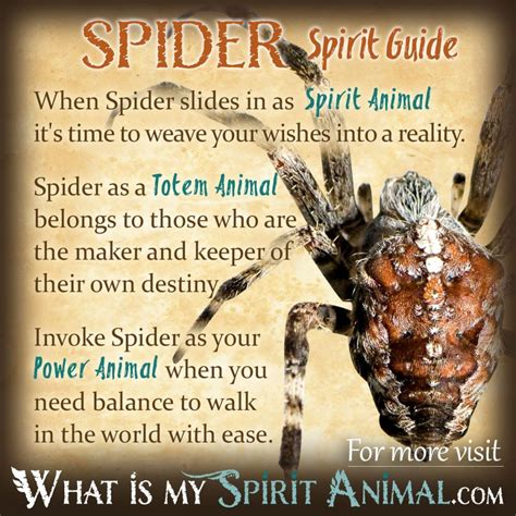 What does killing a spider symbolize?