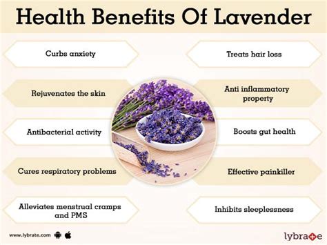 What does lavender do to men?