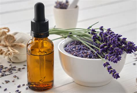 What does lavender oil do for Pennis?