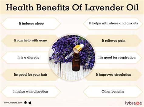 What does lavender oil do to men?