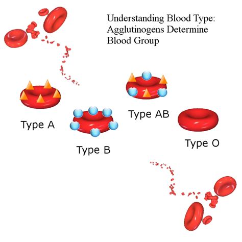 What does law of blood mean in history?