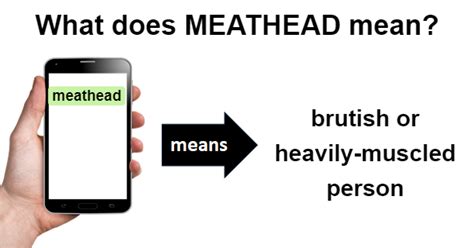 What does meet head mean?