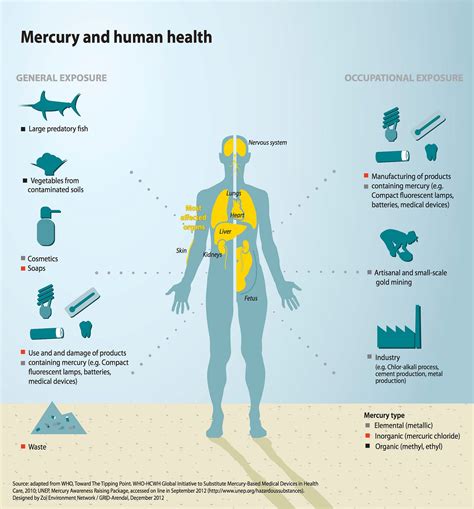 What does mercury do to your skin?