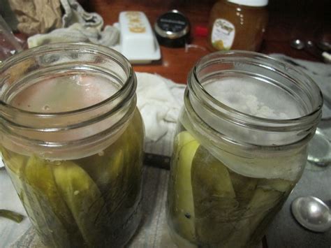What does mold look like on fermented pickles?