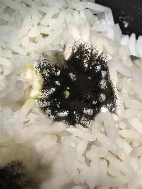 What does moldy rice look like?