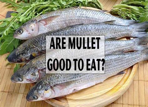What does mullet taste like?