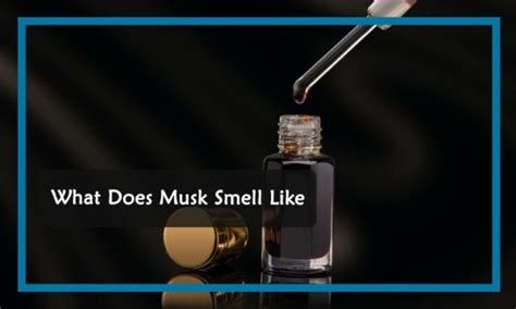 What does musk smell like?