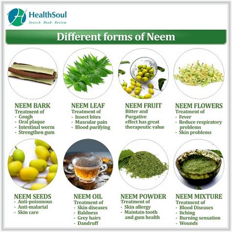 What does neem do to the brain?