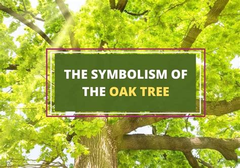 What does oak symbolize in literature?