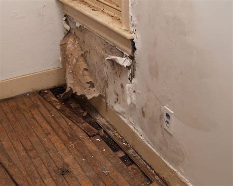 What does old water damage look like?