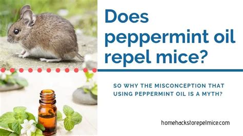 What does peppermint do to animals?