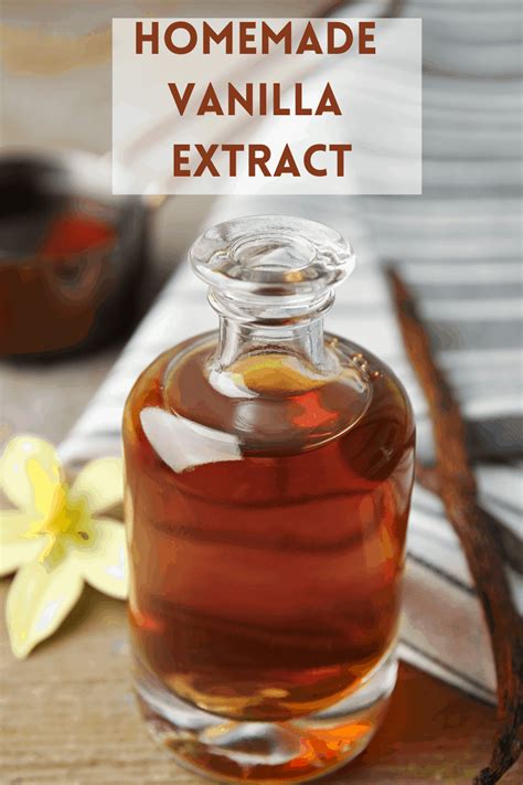 What does pure vanilla extract look like?