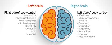 What does right side of the brain do?