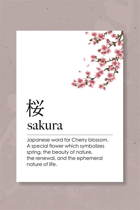 What does sakura stand for in Japan?