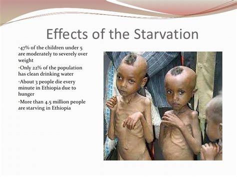 What does starvation feel like?