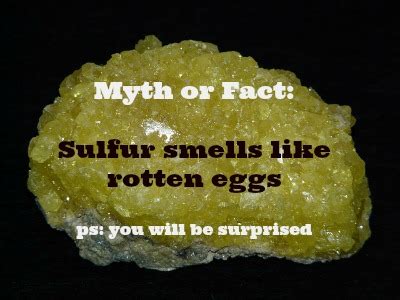 What does sulfur smell like?