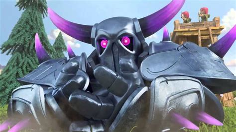 What does the Pekka stand for?