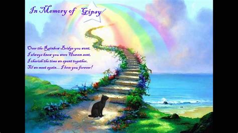 What does the Rainbow Bridge mean for cats?