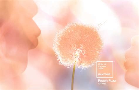 What does the color peach fuzz mean in 2024?