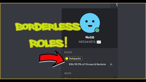 What does the green dot mean on Discord?