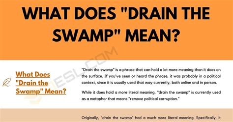 What does the idiom drain the swamp mean?