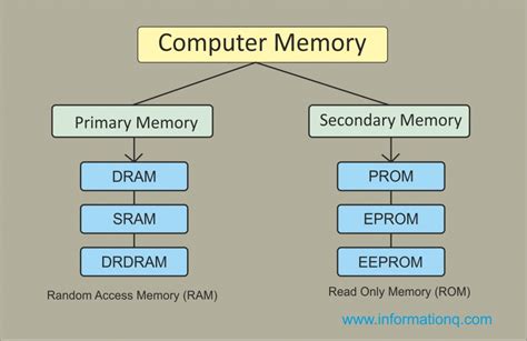 What does the main memory store?