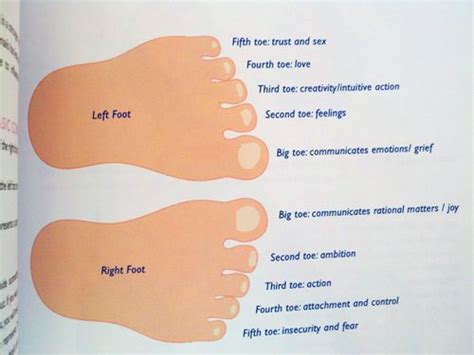 What does the second toe mean spiritually?