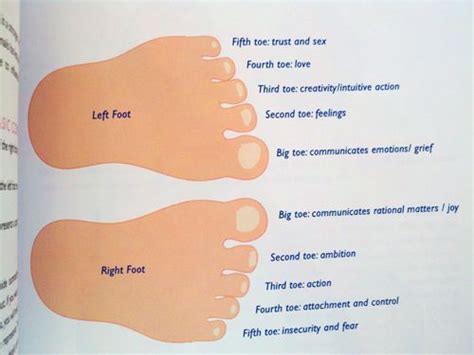 What does the second toe symbolize?