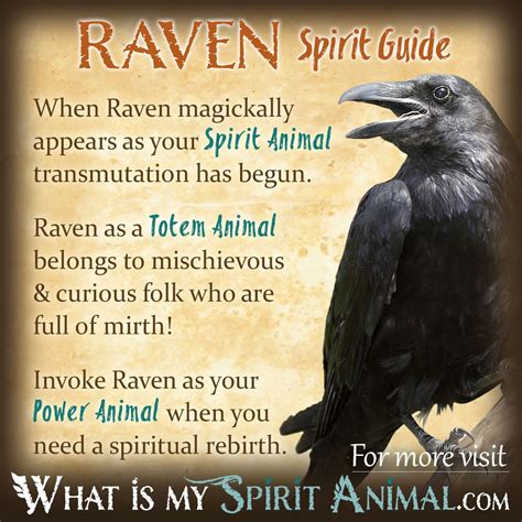What does the shadow symbolize in the Raven?