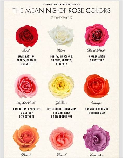 What does the wild rose symbolize?