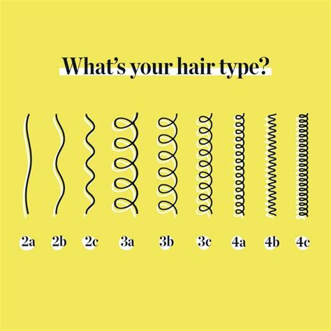 What does type 2C hair look like?