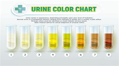What does unhealthy urine look like?