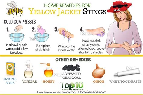 What does vinegar do for yellow jacket stings?