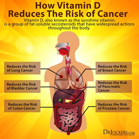 What does vitamin D do for the pancreas?