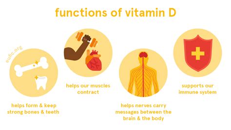 What does vitamin D do in puberty?
