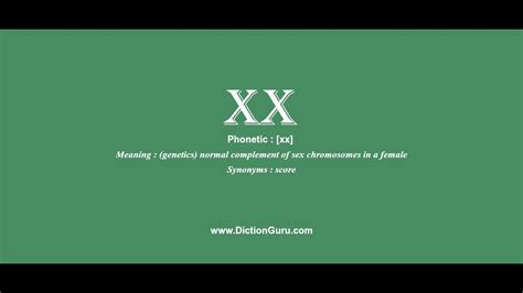 What does xx means?