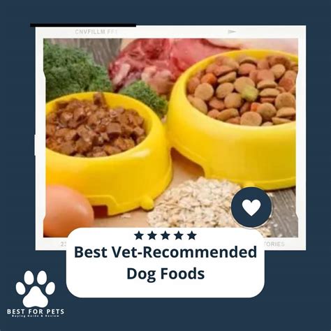 What dog food do vets not recommend?