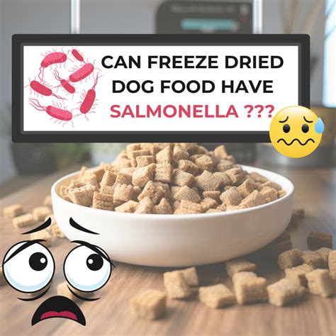 What dog food has salmonella?