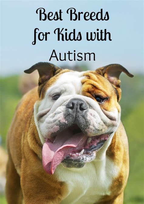 What dog is best for autism?