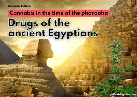 What drugs did pharaohs use?