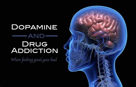 What drugs increase dopamine?