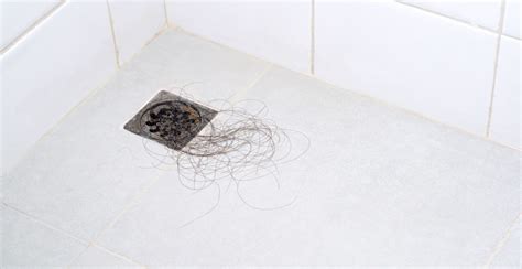 What eats hair in a drain?