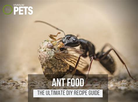 What eats the most ants?