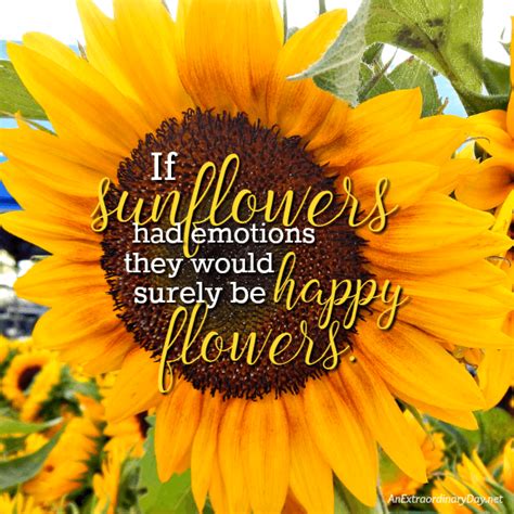 What emotion is a sunflower?