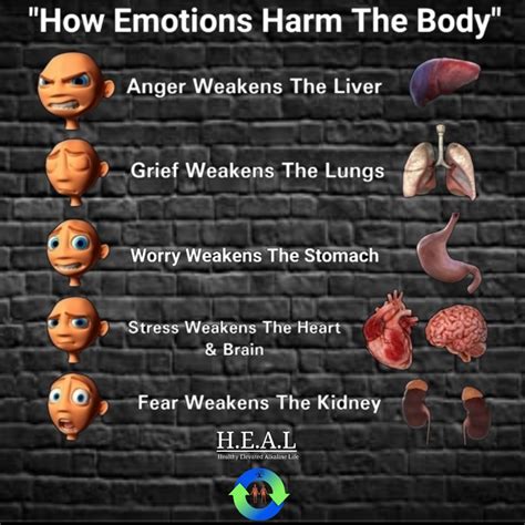 What emotion weakens the liver?