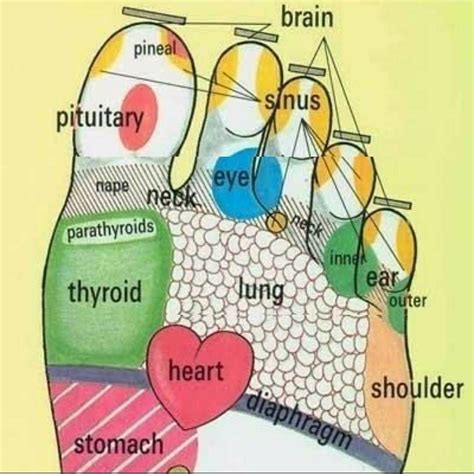 What emotions are connected to the toes?