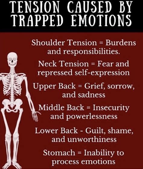 What emotions are stored in the neck and shoulders?