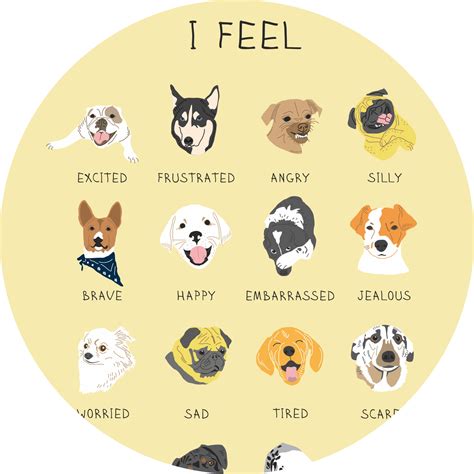 What emotions do dogs not feel?