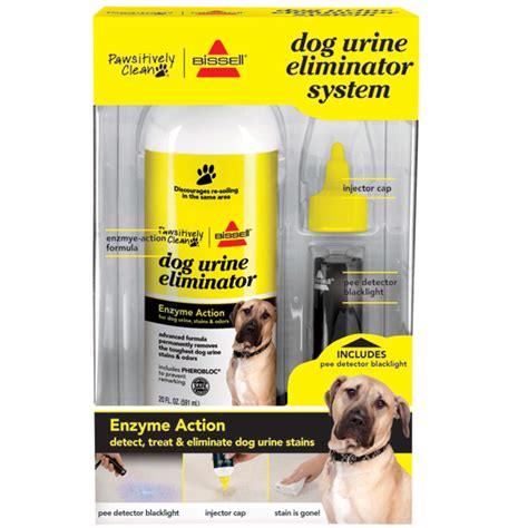What enzyme breaks down dog urine?